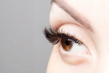 Load image into Gallery viewer, HYBRID